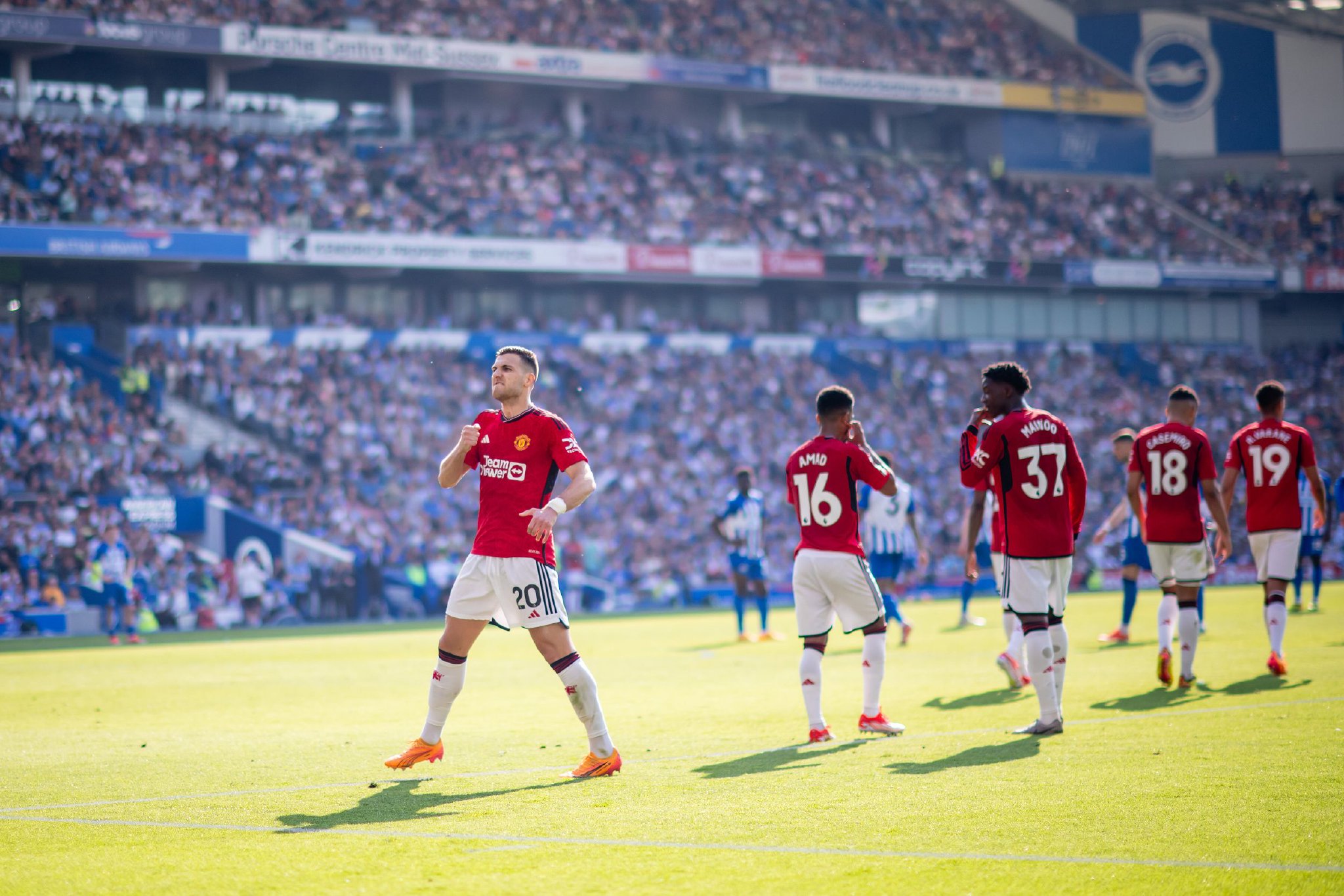 西涅和洛萨 西涅和洛萨